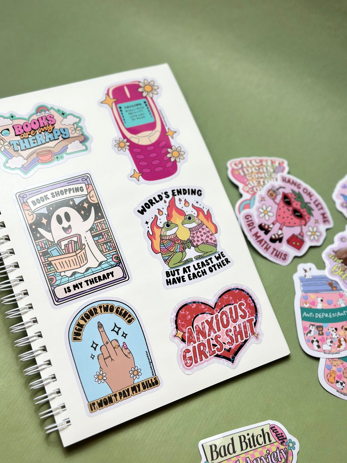 Reusable sticker book - Froggy